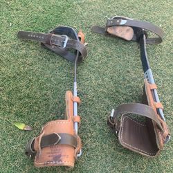 Buckinghang  Pole/tree Climbing