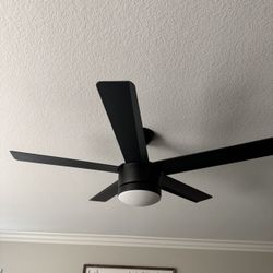 Black Fan/light 