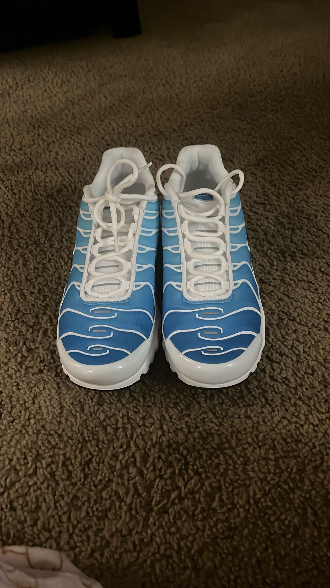 Nike Air Mac Plus Sky Blue Size 11