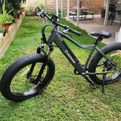 Vanpowers Manidae – Class 3 E-Bike – 750W – NEW & Fully Assembled!

Electric Bicycle Ebike