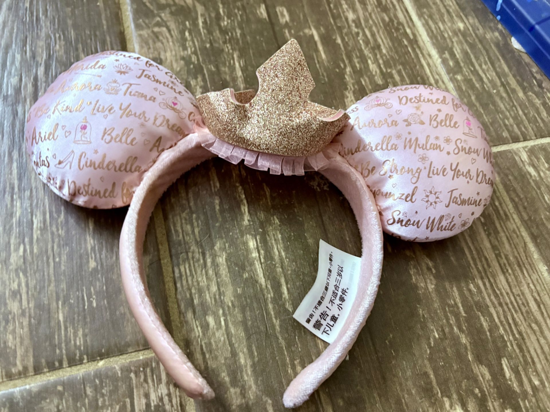 Dream Big Princess Pink Minnie Mouse Ears