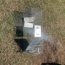 Raccoon Trap 
