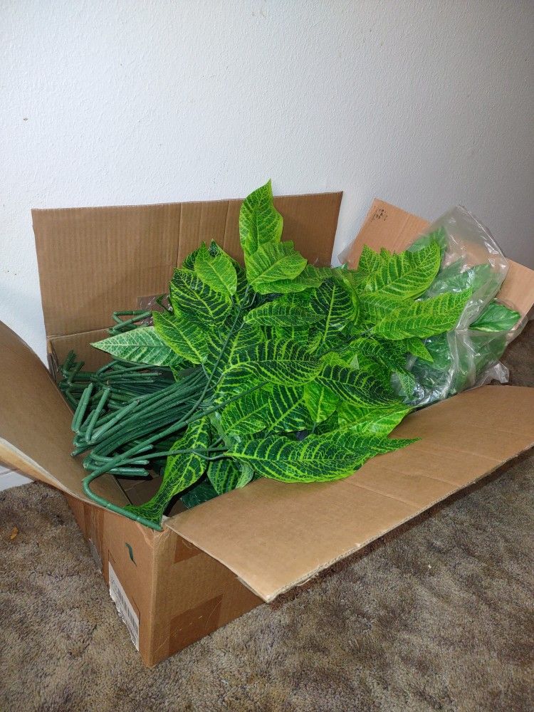 Green Foliage