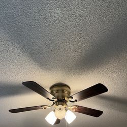 Fan