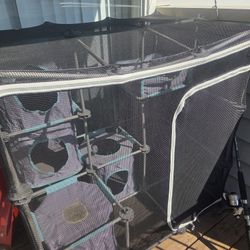 Catio