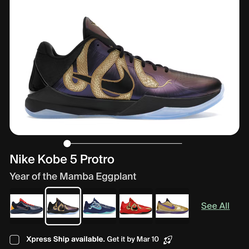 Kobe 5 eggplant