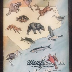 Vintage Wildlife In North Carolina Jan, 1965 GC