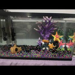 10 gallon Fish tank 