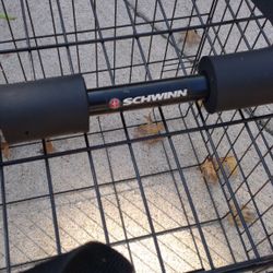 Schwinn 2bike Bikerack