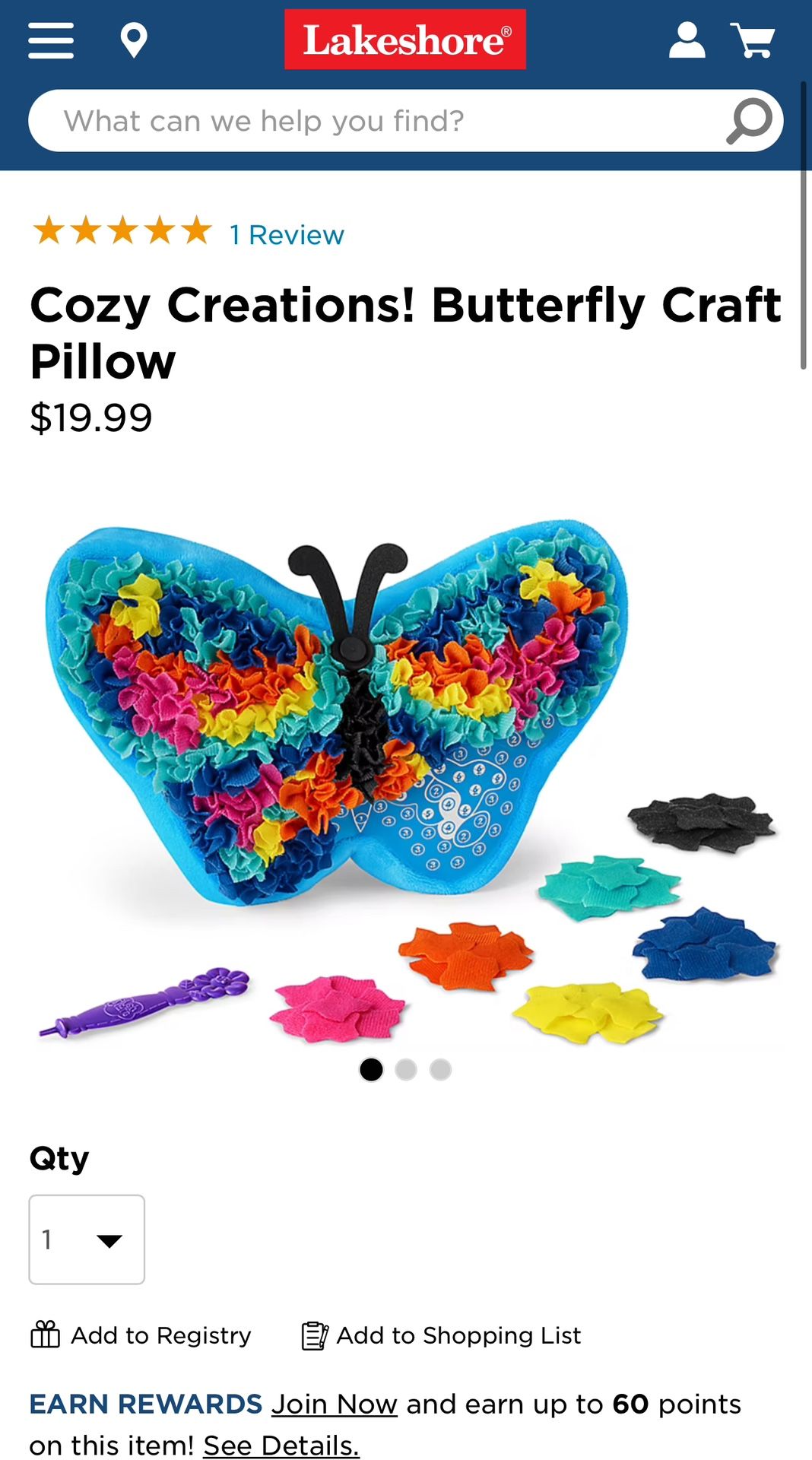 Cozy Creations! Butterfly Craft Pillow