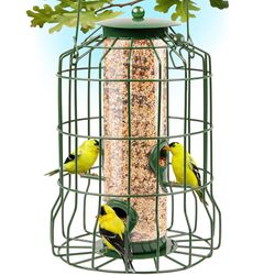 Bird Feeder