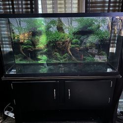 65 Gallon Fish Tank 