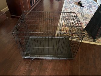 Large dog kennel
