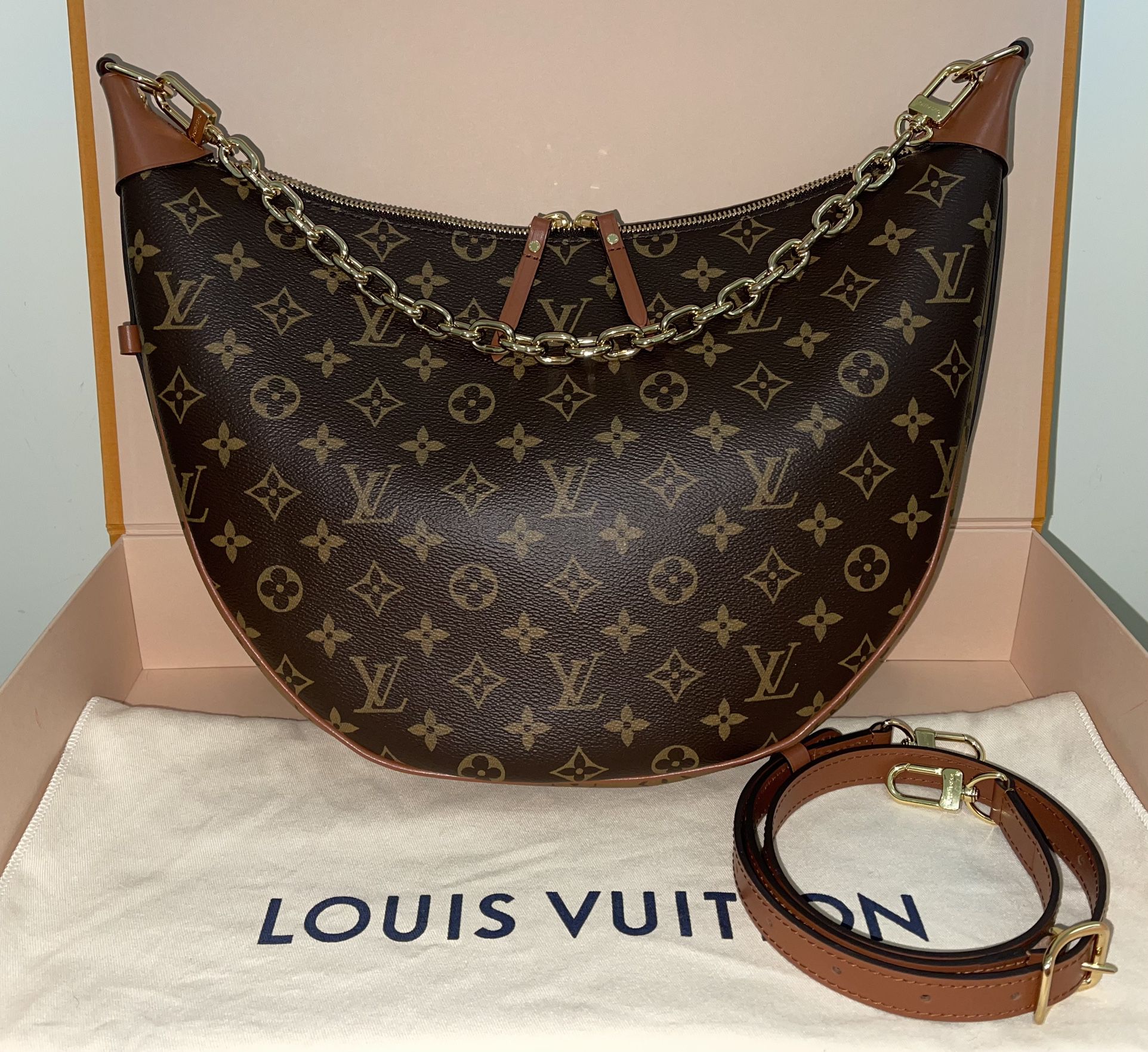 Louis Vuitton Loop Hobo Bag for Sale in Boerne, TX - OfferUp