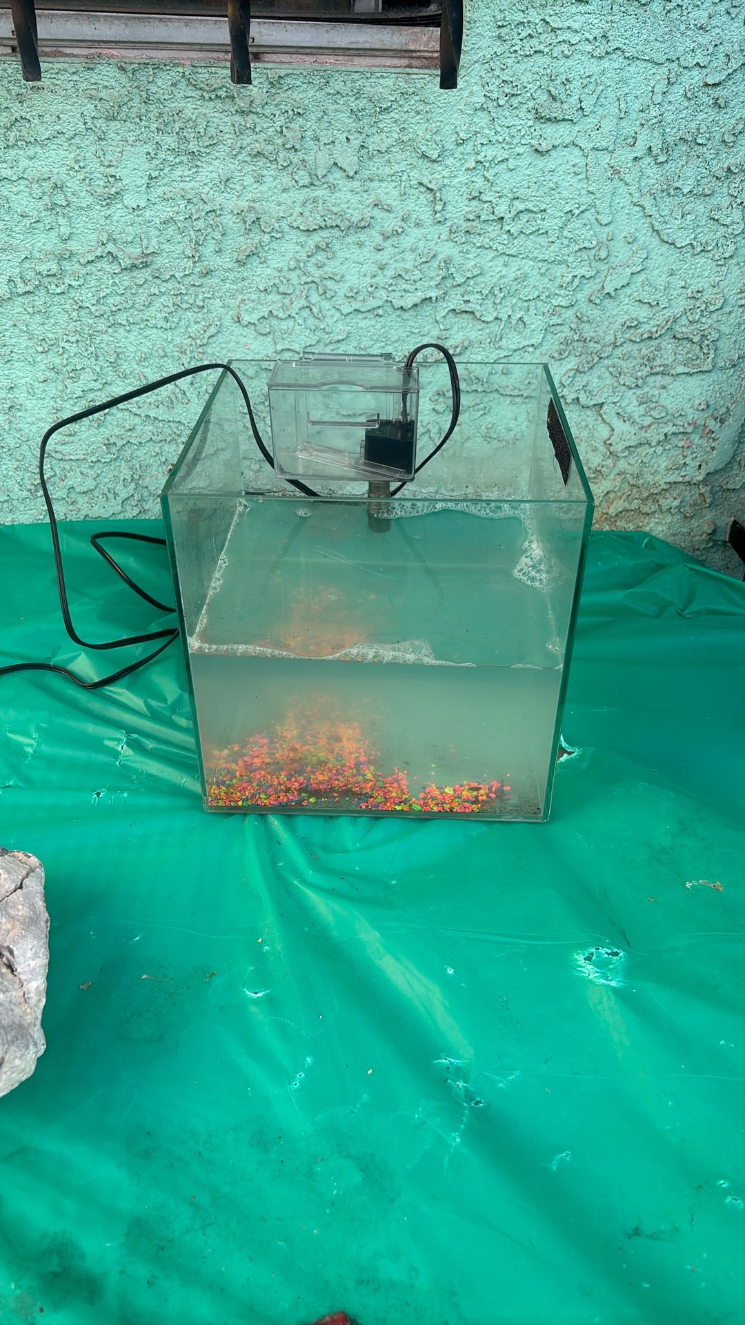Fish Tank