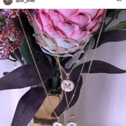 Iniciales Disponible A Demas Collares Venta Por Separado