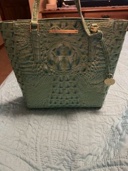 Brahmin Green Purse