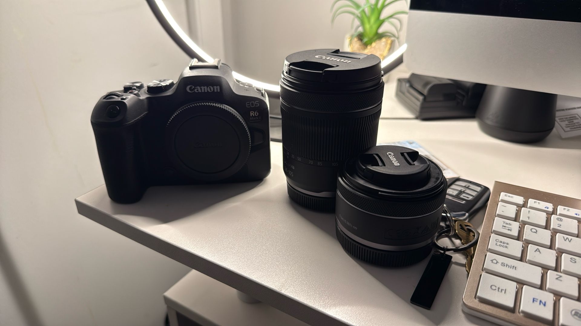 Canon R6 Mark II 