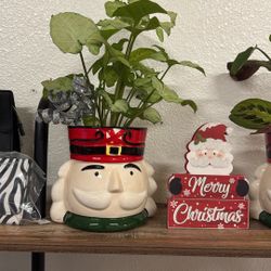 Plant Christmas Decor