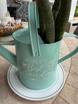 Grandmother planter with Plant