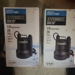 2 Everbilt 1/6 Hp Utility Pumps Used Once