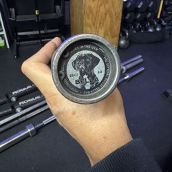 Bella Rogue Olympic Barbell & Others