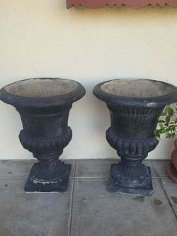 Concrete Planters