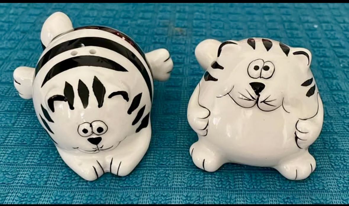 Pier 1 Imports Fat Cat Salt & Pepper Shaker Set