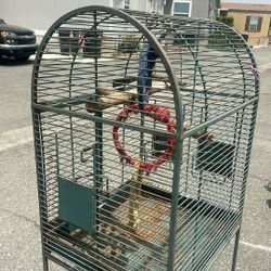 Bird Cage 
