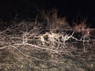 Free wood. Pick up only. There’s mostly small limbs left but a couple of logs are left to. Free