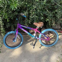 Genesis 18” Girls Bike