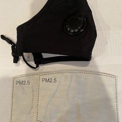2 Face mask and 4 filters (90pcs in stock)