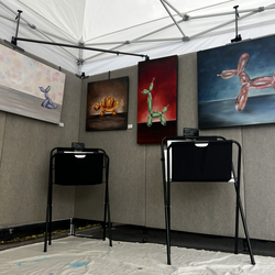 Art Rack canvas and print holder foldable