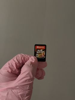 Hello Neighbor Nintendo Chip
