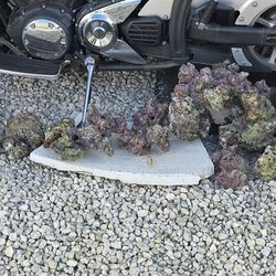 Aquarium reef rocks