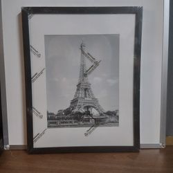 5 Pack of 16X20 Display Matted Wall Gallery Poster