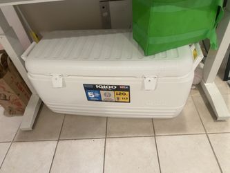 120 Qt Igloo