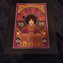 Prince 11 in x 14 inch GLASS NEW 
