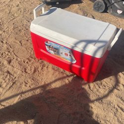 Igloo Family Cooler 