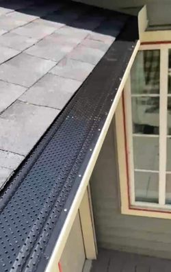 Leaf Guard
