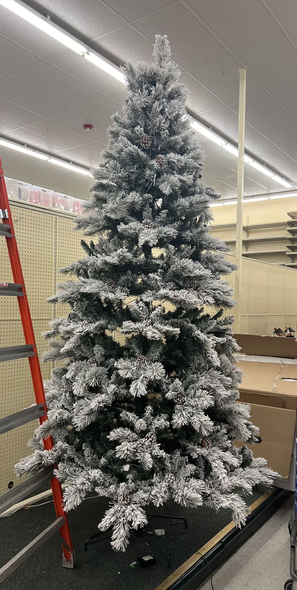 9ft Snowy Edgewood Pine Christmas Tree