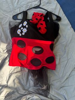 Teens Ladybug Halloween Costume