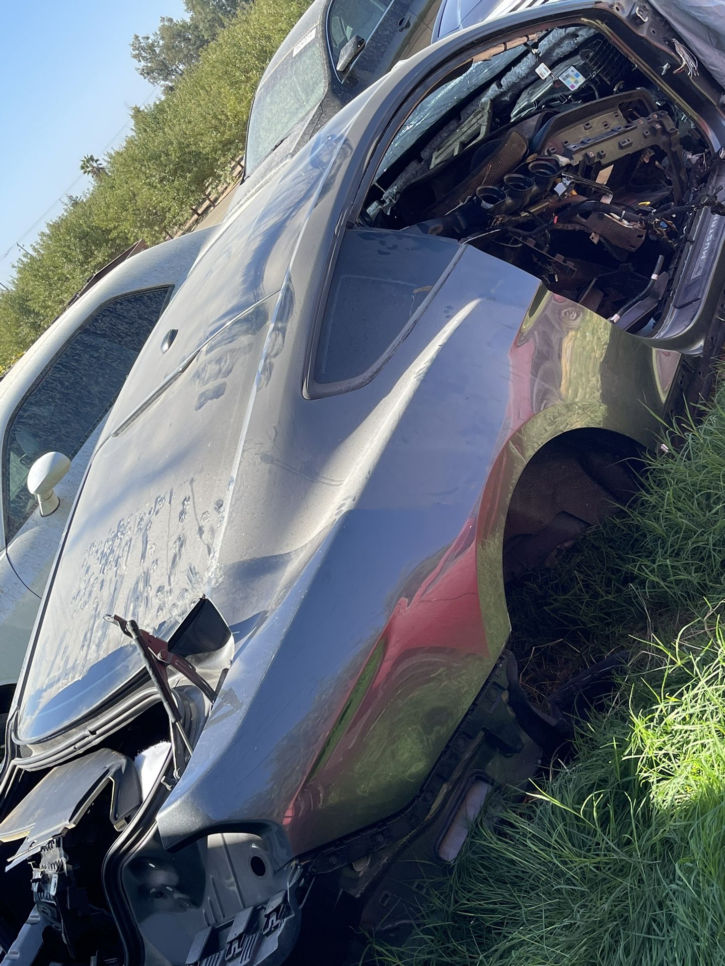 Mustang Parts (2015-2023