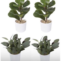 Home Decorations Tabletop Faux Plants And Grass Pots - 2 For $15 
