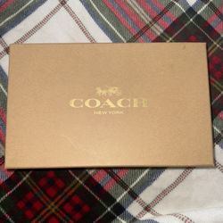 Coach Purse (Glacier White) 