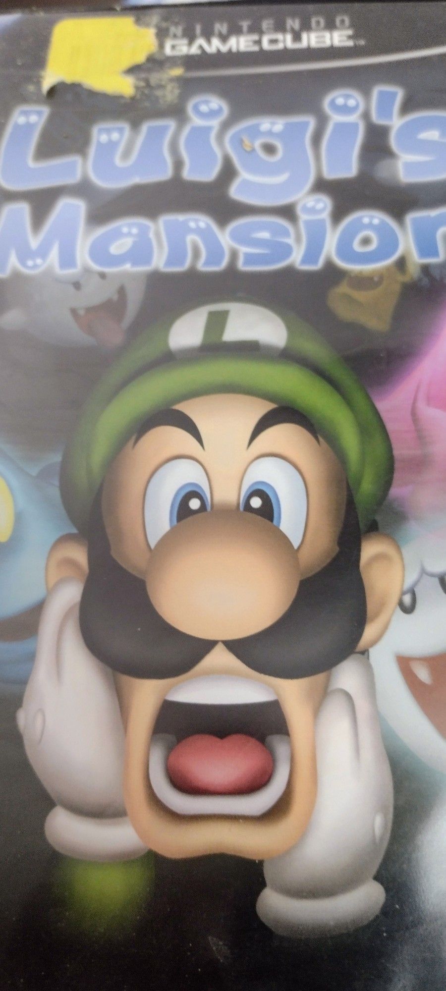 Nintendo GameCube Luigi's Mansion