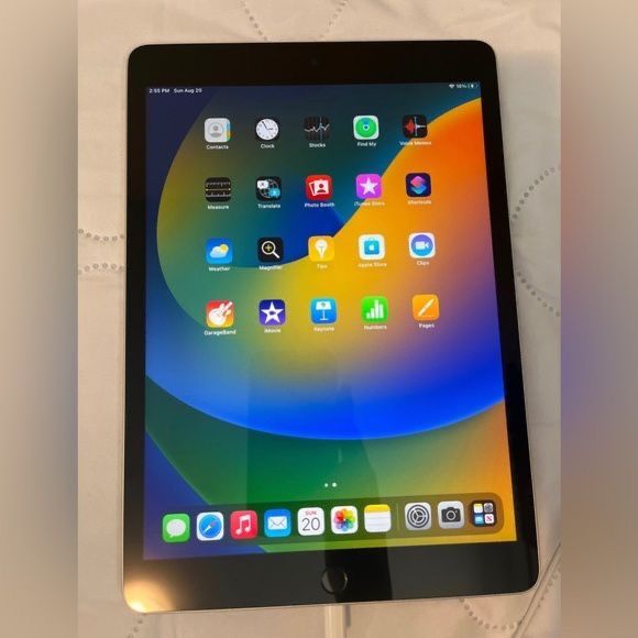 iPad 9th Gen 10.2,2021,256GB