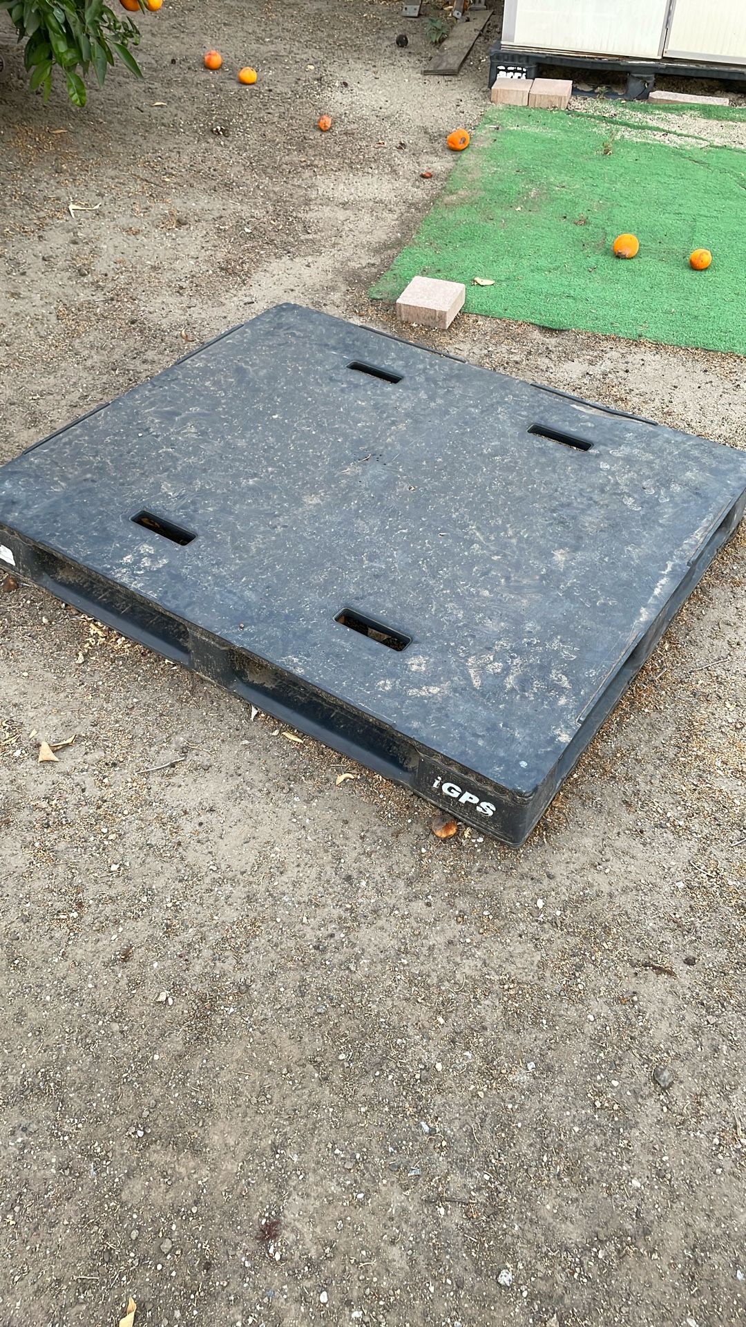plastic pallet free