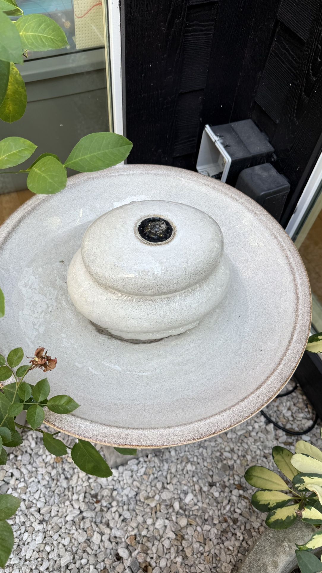 Fountain 