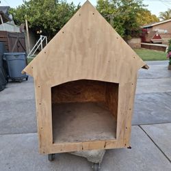 Dog House